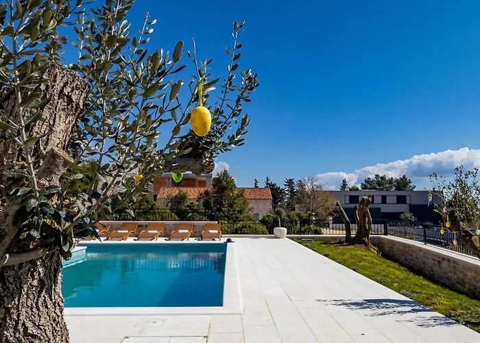 Katarina Diklo Vikendica